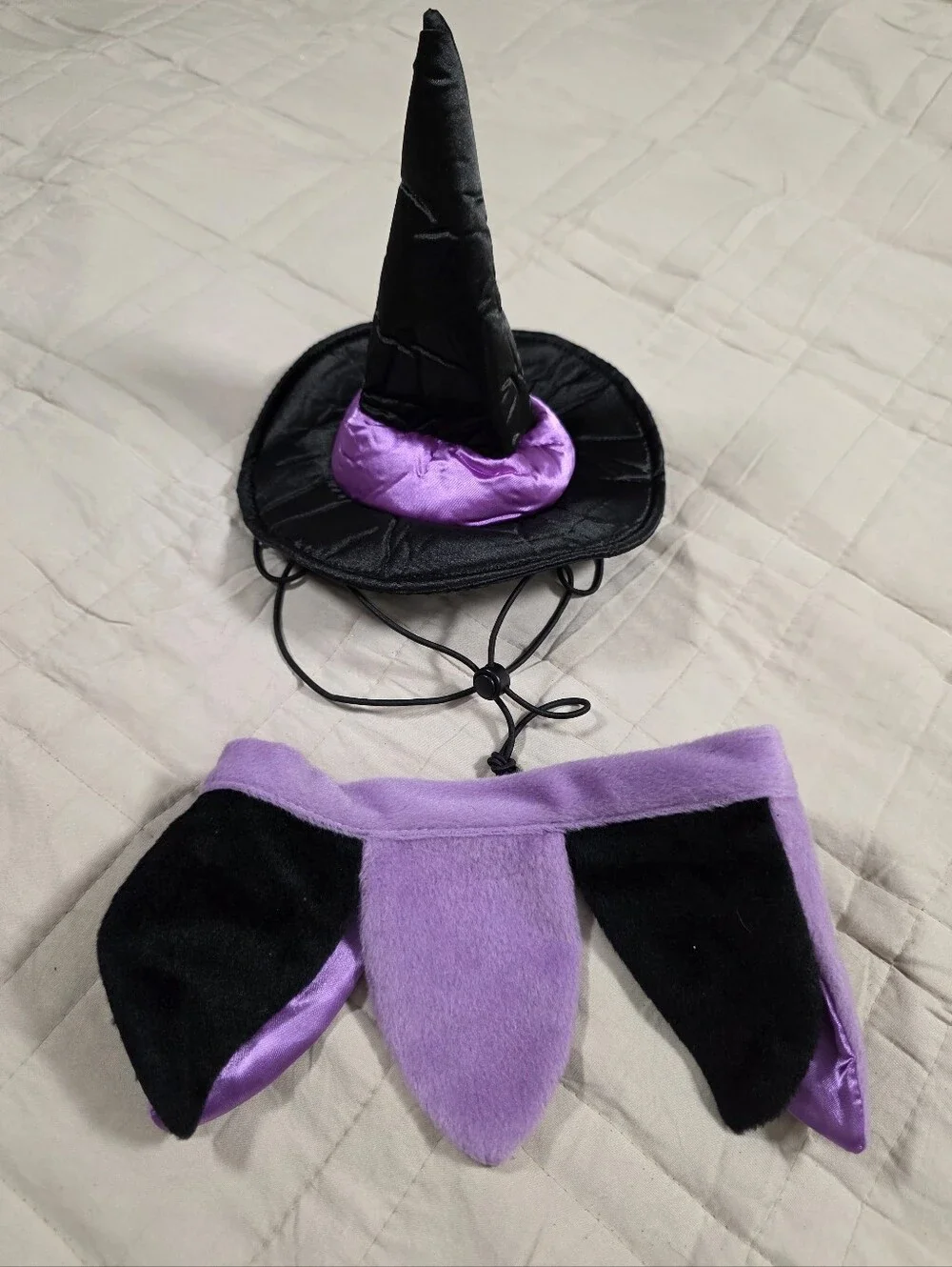 Witch Hat And Collar Costum/Accessories For Dog M/L Black Purple
